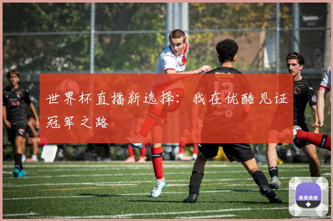 世界杯直播新选择：我在优酷见证冠军之路