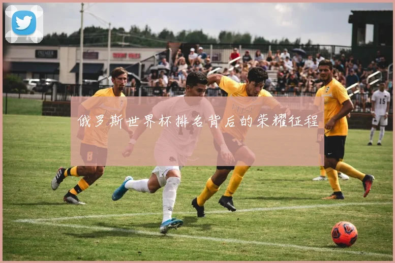 俄罗斯世界杯排名背后的荣耀征程