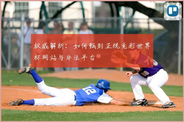 权威解析:如何甄别正规竞彩世界杯网站与非法平台