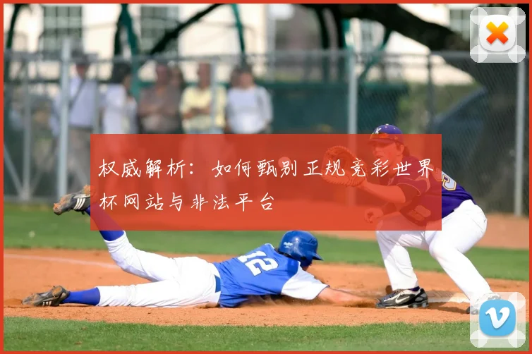 权威解析:如何甄别正规竞彩世界杯网站与非法平台