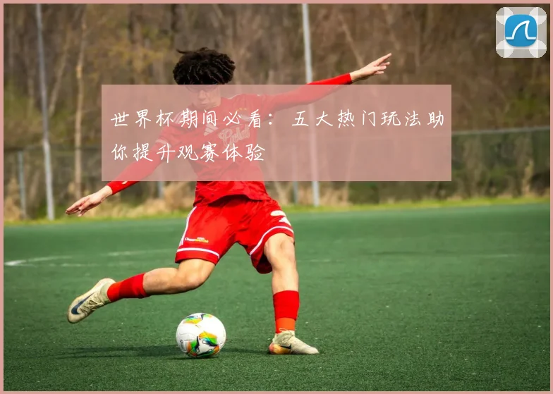 世界杯期间必看:五大热门玩法助你提升观赛体验