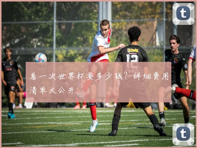 看一次世界杯要多少钱？详细费用清单大公开