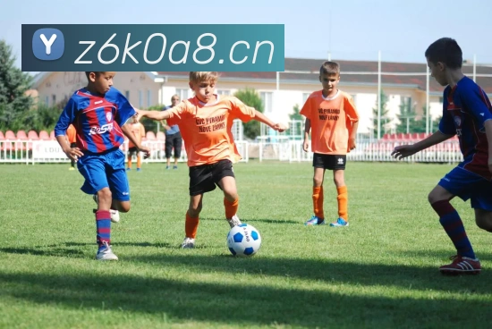 多媒体互动体验